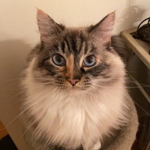 Meet your Posher, Nick